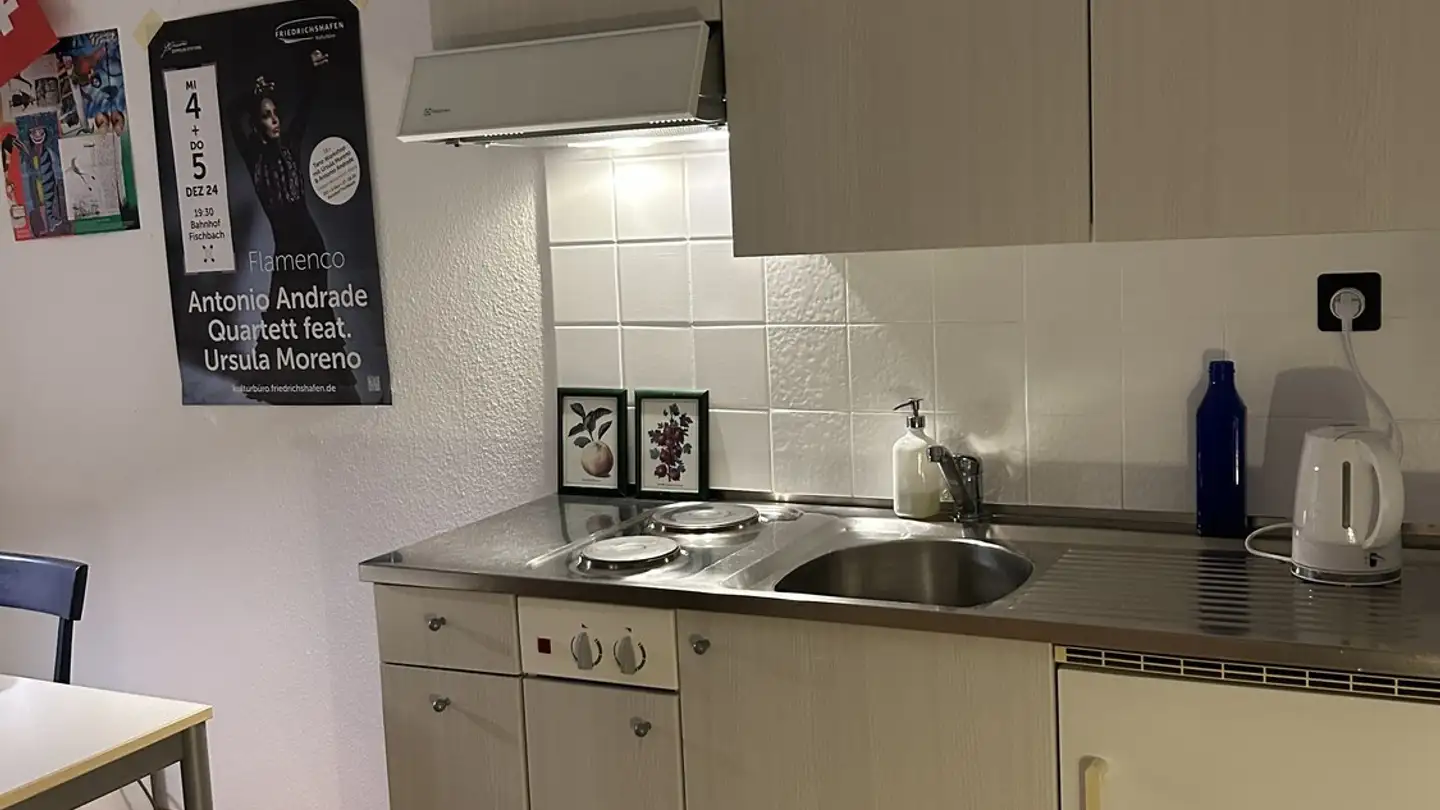 Appartamento in affitto - 9000 St. Gallen - Foto 3
