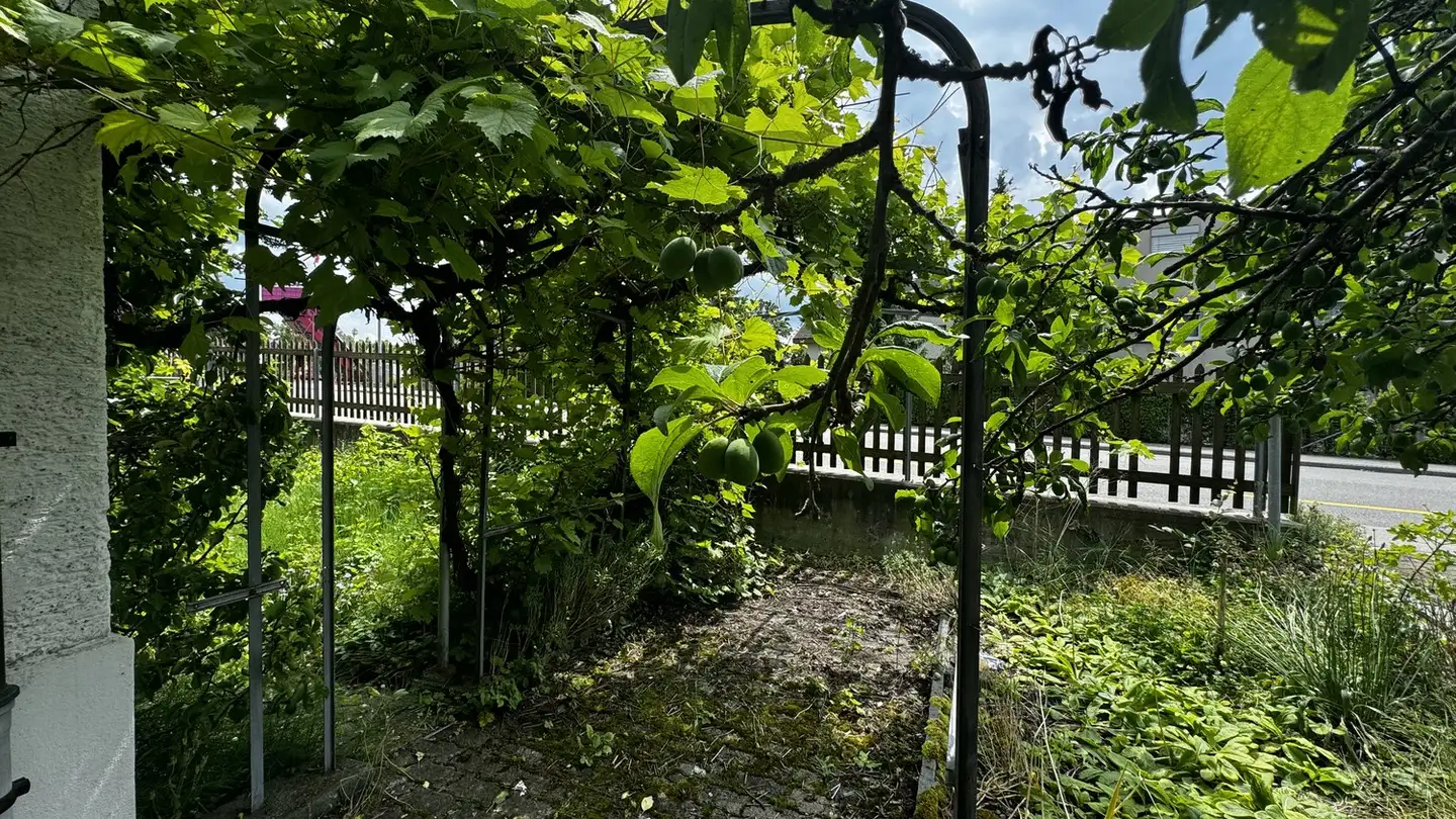 Maison individuelle à vendre - Wallisellerstrasse 39, 8152 Glattbrugg - Photo 4