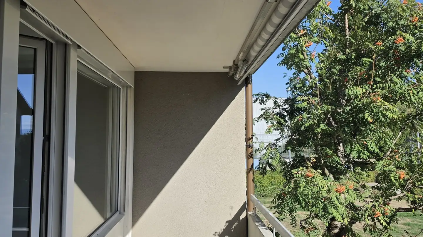 Apartment for rent - Schäfereistrasse 3, 3052 Zollikofen - Photo 3