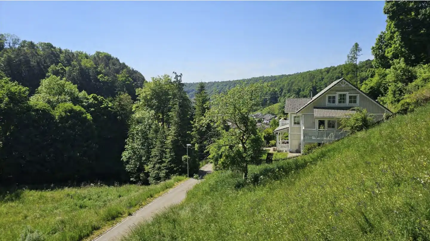 Casa singola in vendita - Gehrenhalde 63, 8231 Hemmental - Photo 3