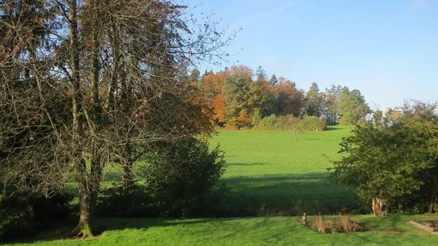 Apartment for rent - Walderstrasse 52, 8340 Hinwil - Photo 2