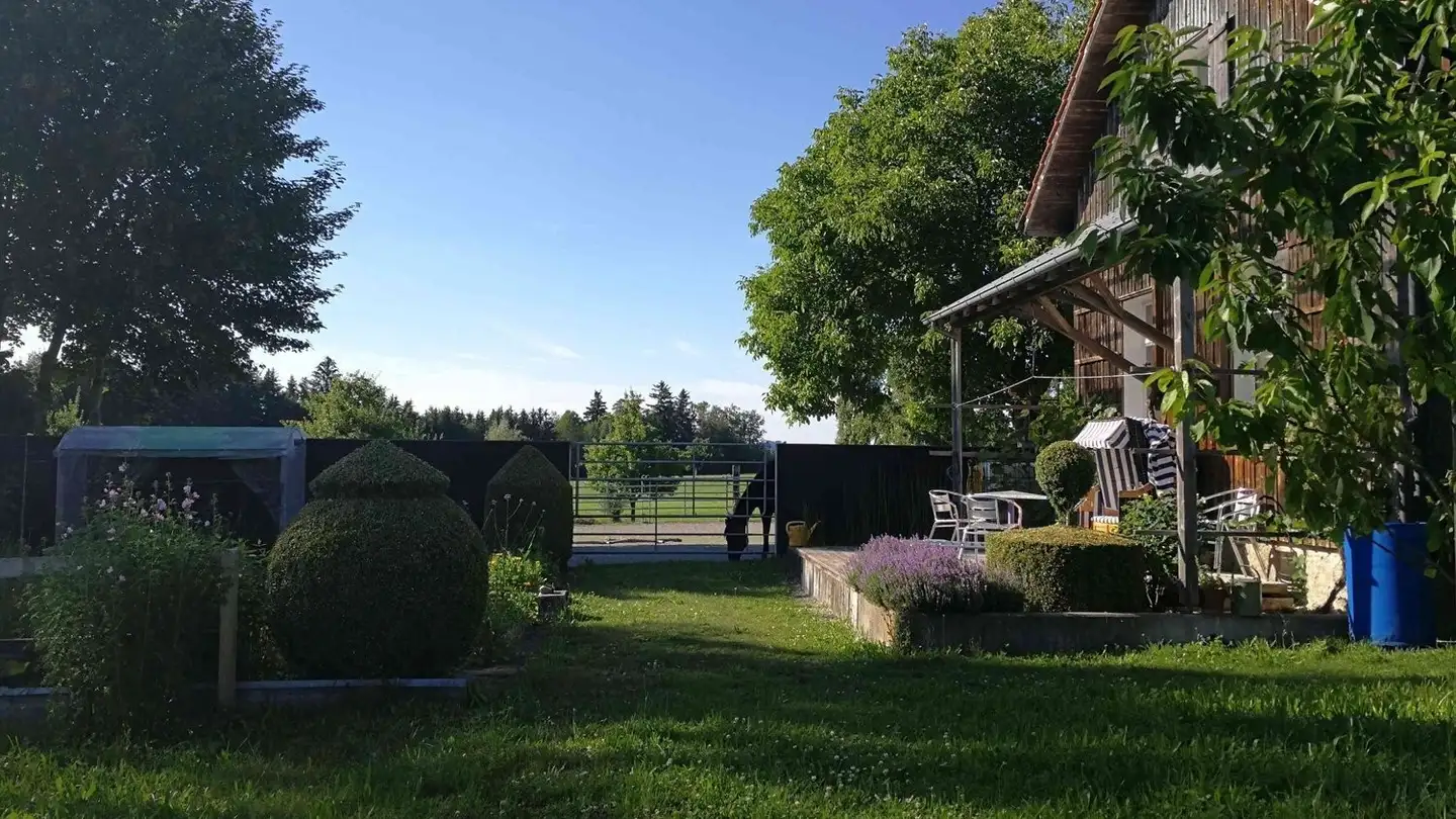 Single house for rent - 8248 Uhwiesen - Photo 3