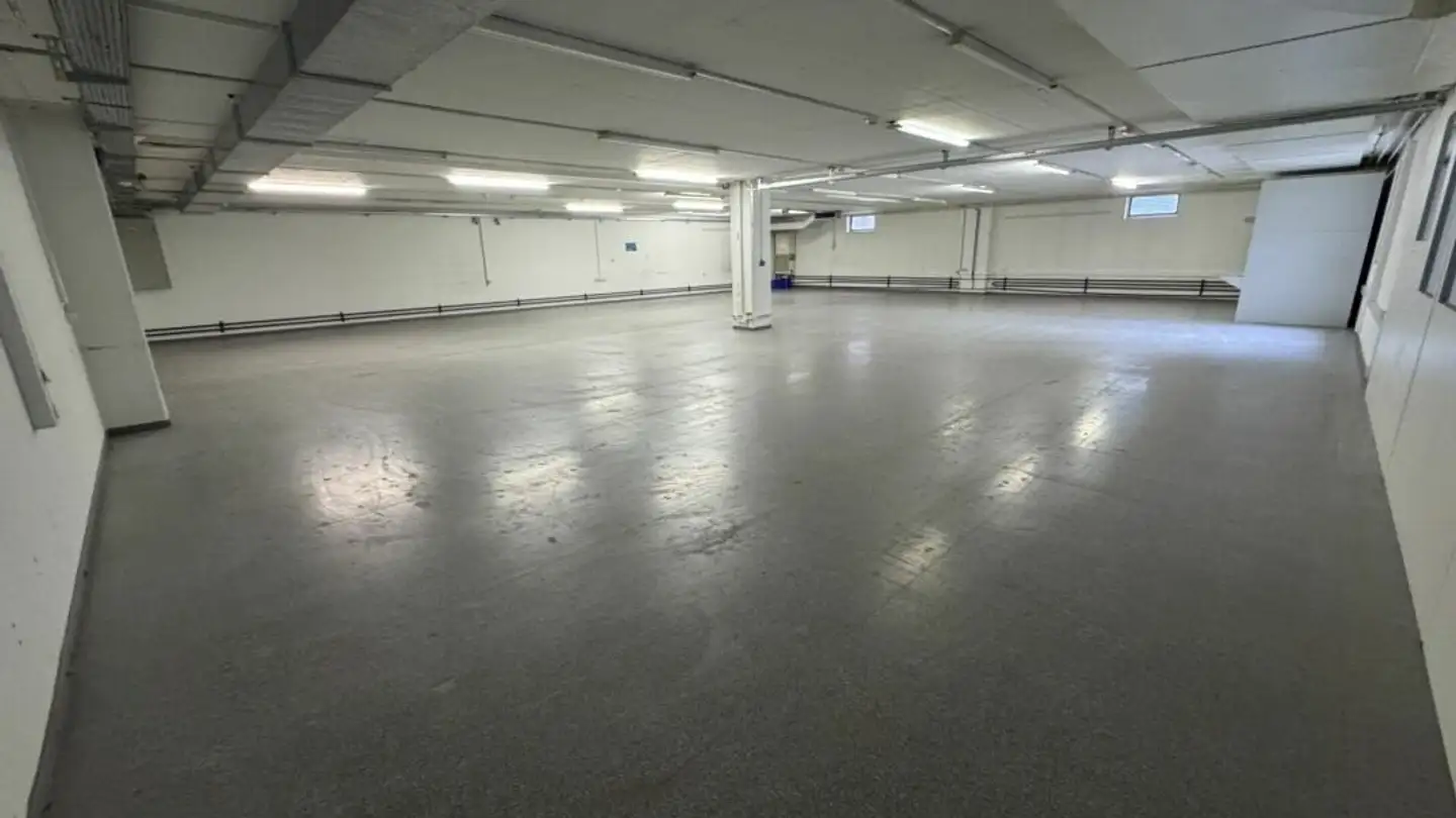 Commerciale in affitto - Pfeffingerring 201, 4147 Aesch BL - Foto 3