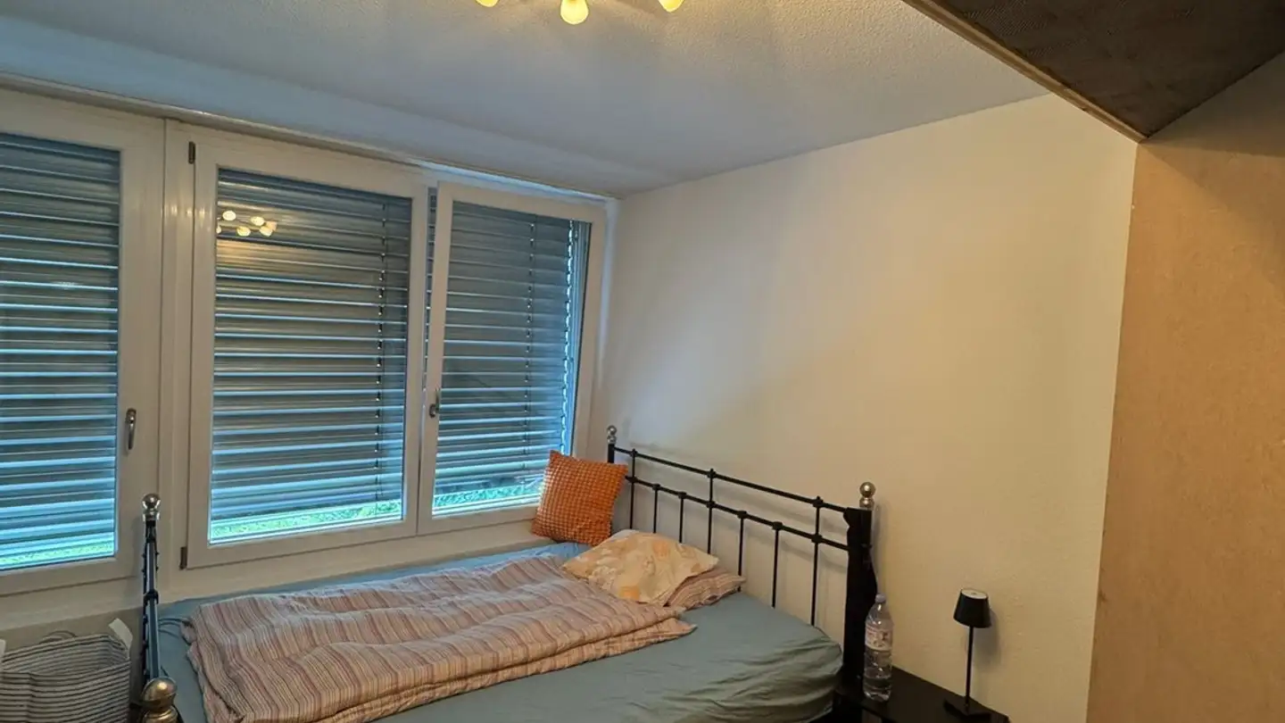 Stanza singola in affitto - 8046 Zürich