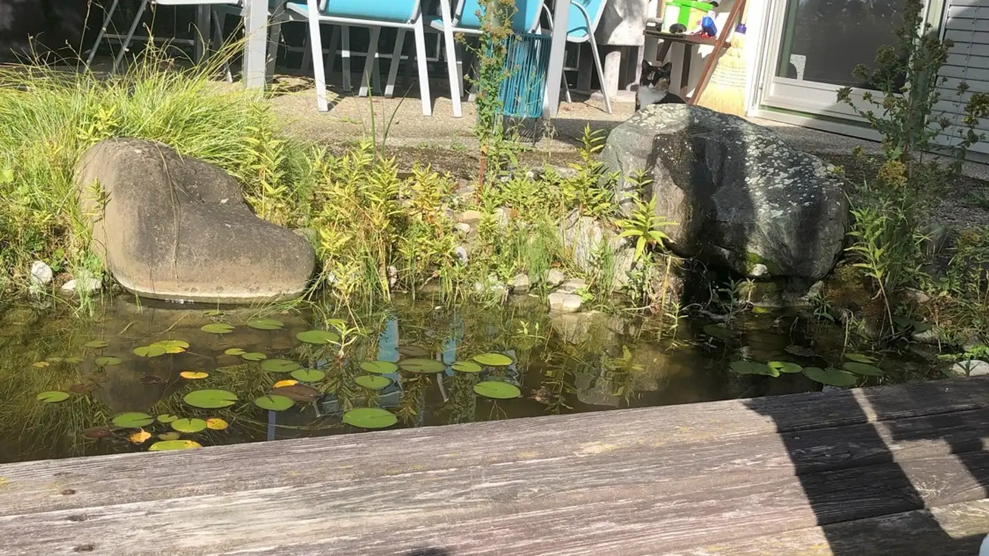 Casa singola in affitto - Hagematt 87, 5637 Geltwil - Photo 4