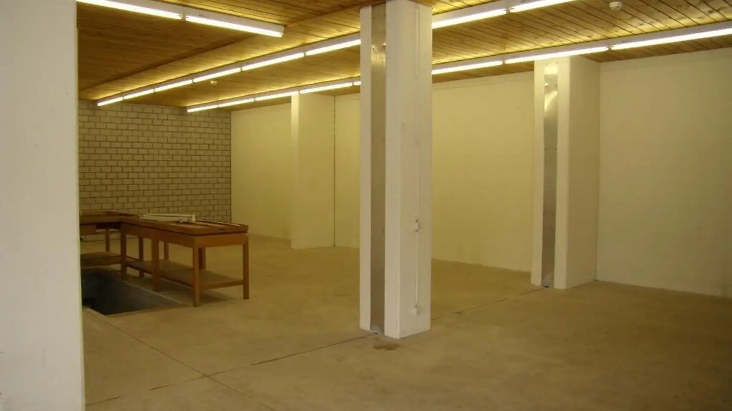 Gewerbe mieten - 4658 Däniken SO