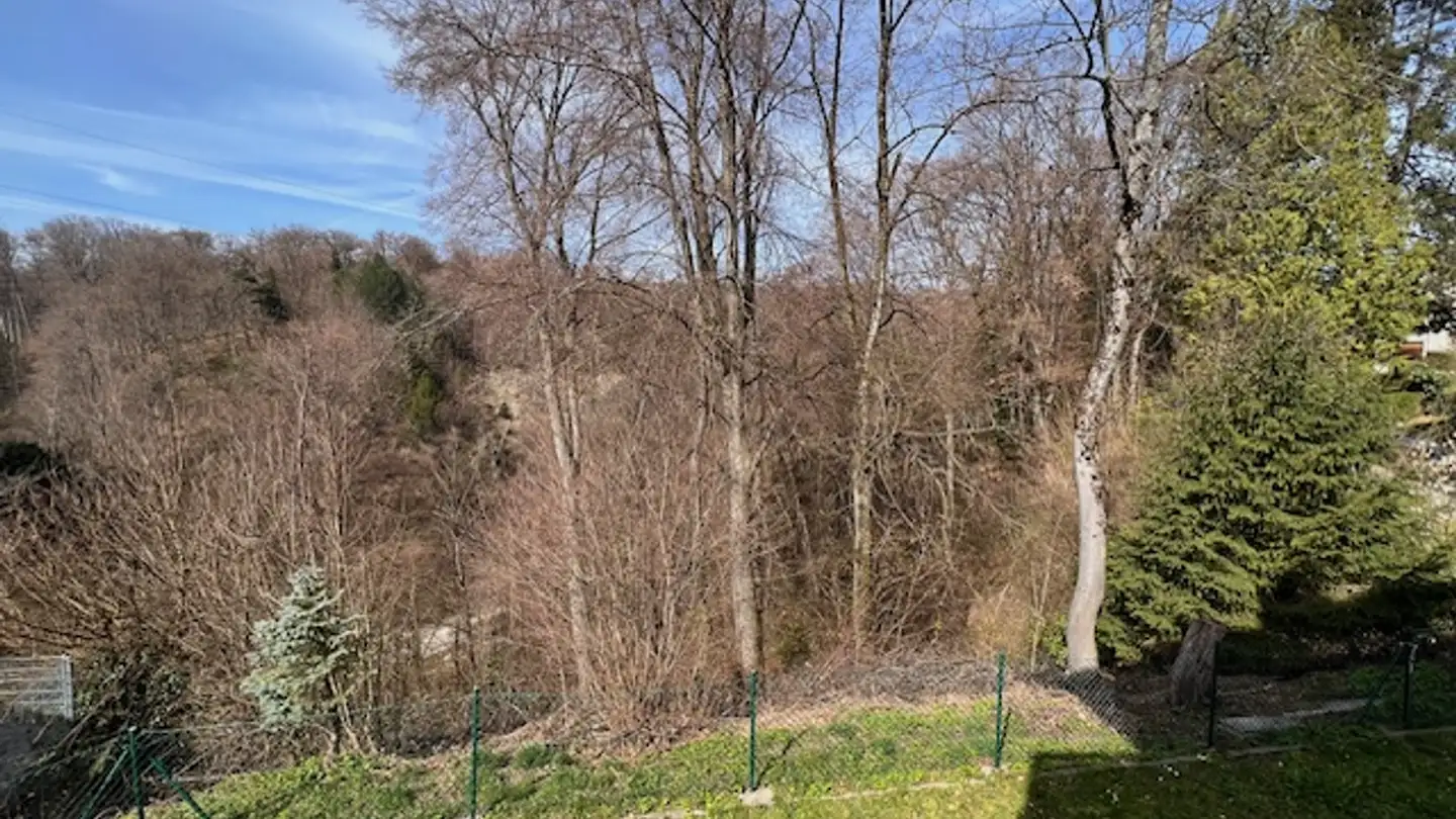 Casa singola in vendita - 1010 Lausanne - Foto 3