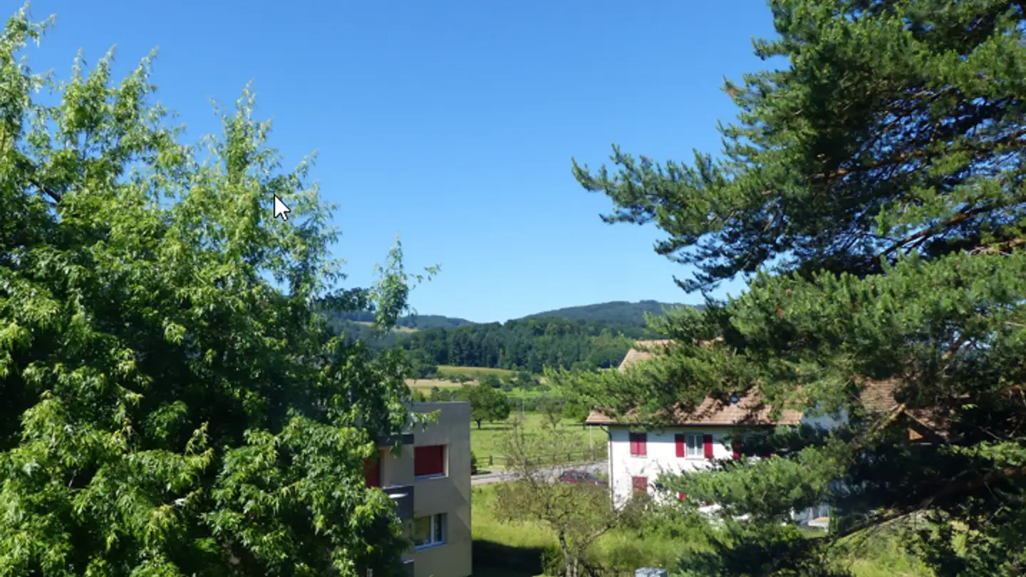 Attic flat for rent - Neumattring 2, 4147 Aesch BL - Photo 3