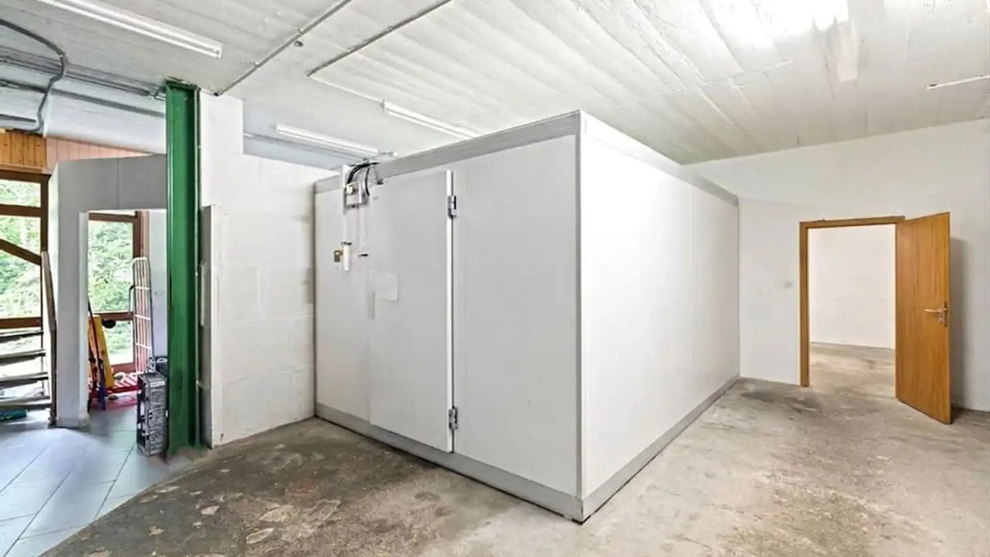 Commercial for sale - 1899 Torgon - Photo 3