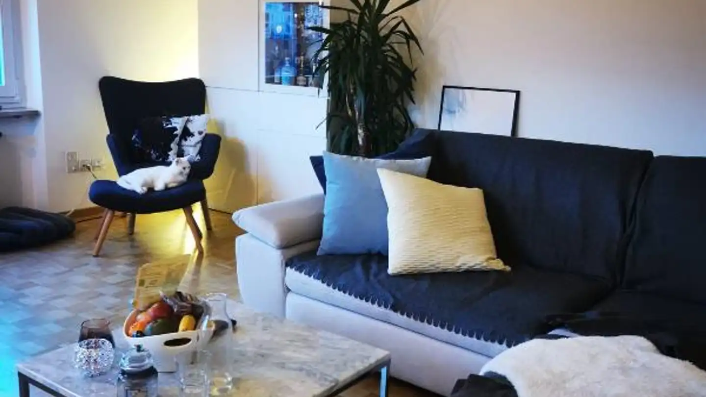 Studio in affitto - Zugerstrasse, 8820 Wädenswil - Photo 2