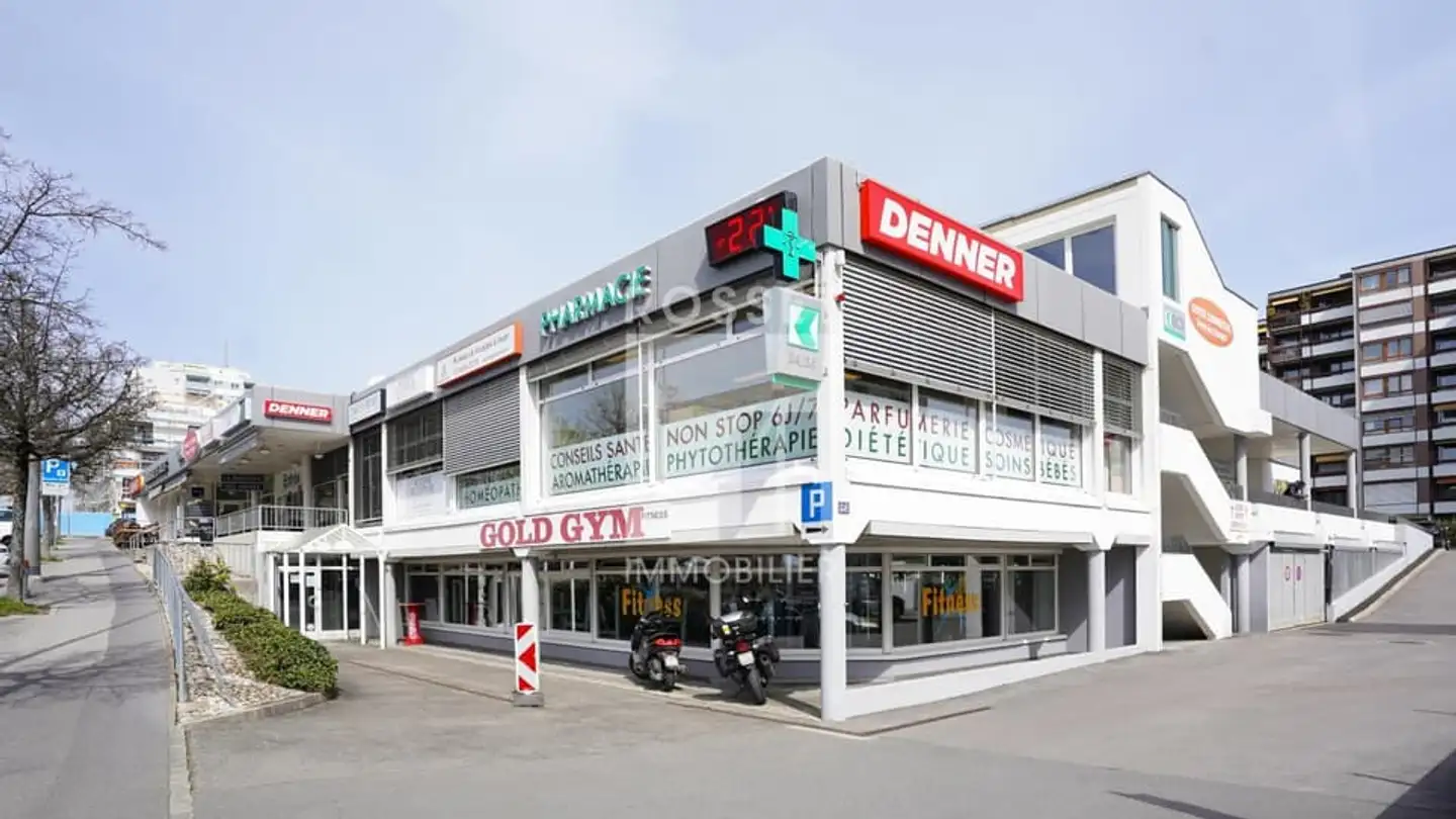 Gewerbe mieten - Avenue Du Grey 58, 1018 Lausanne