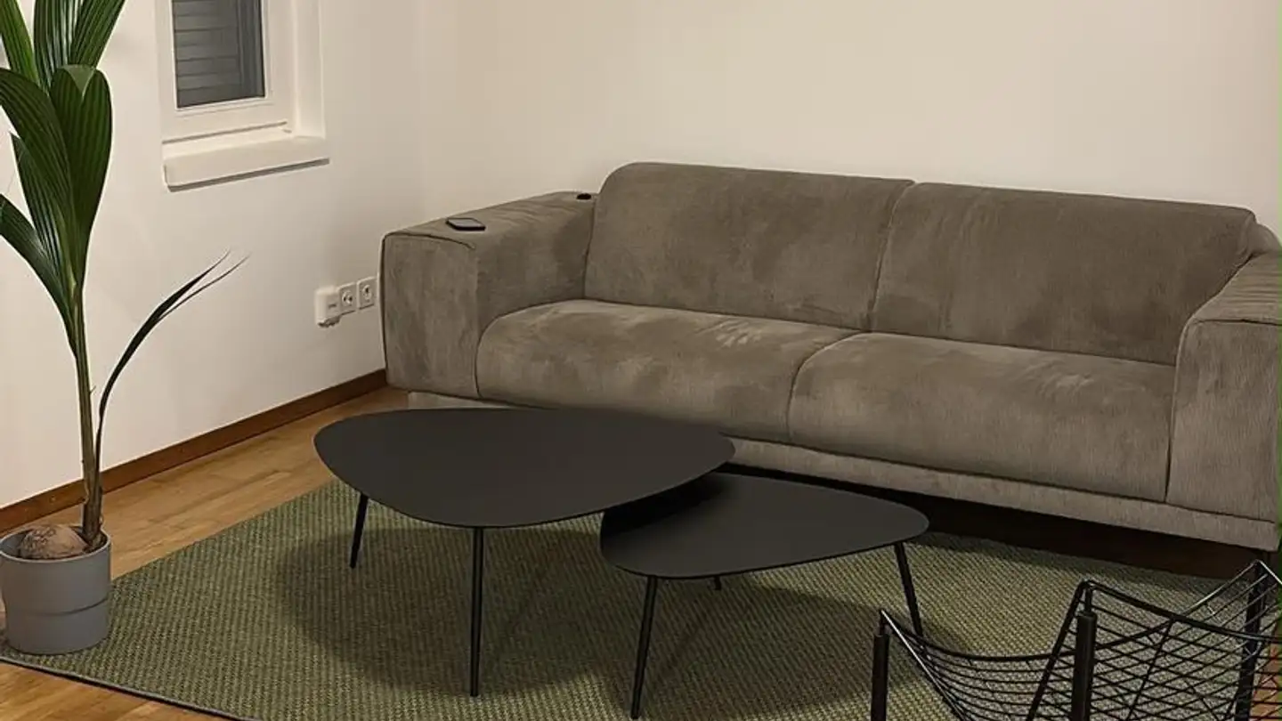 Wohnung mieten - Regensbergstrasse 310, 8050 Zürich