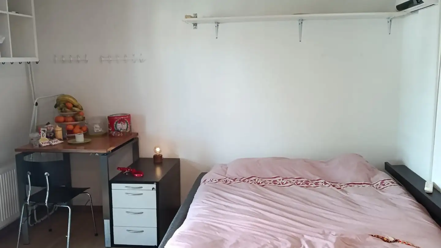 Single room for rent - 6030 Ebikon