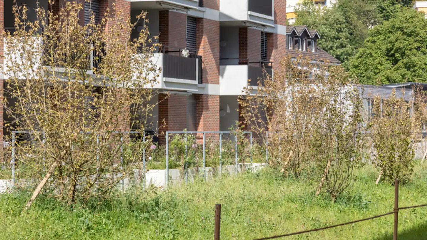 Appartamento in affitto - Färbereiweg 2g, 4800 Zofingen - Foto 2