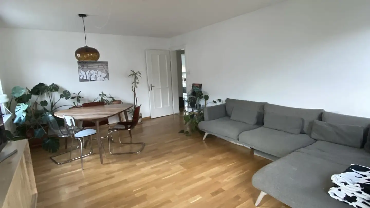 Appartement à louer - Hanfrose 11, 8055 Zürich