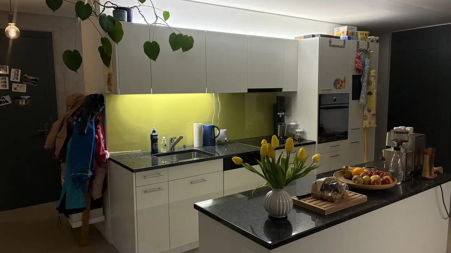 Appartamento in affitto - 8800 Thalwil