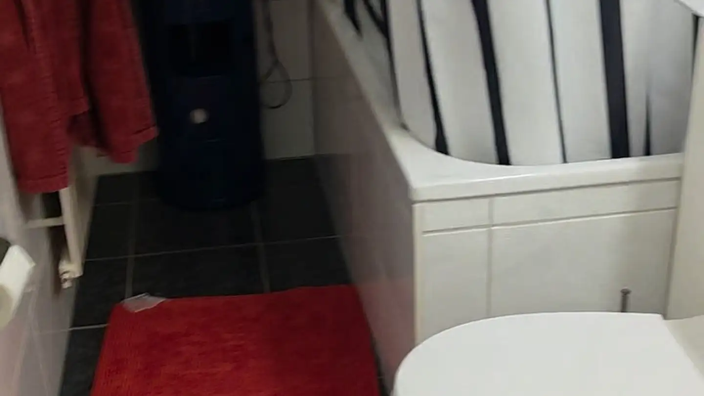 Chambre à louer - Salvatorstrasse, 8050 Zürich - Photo 2