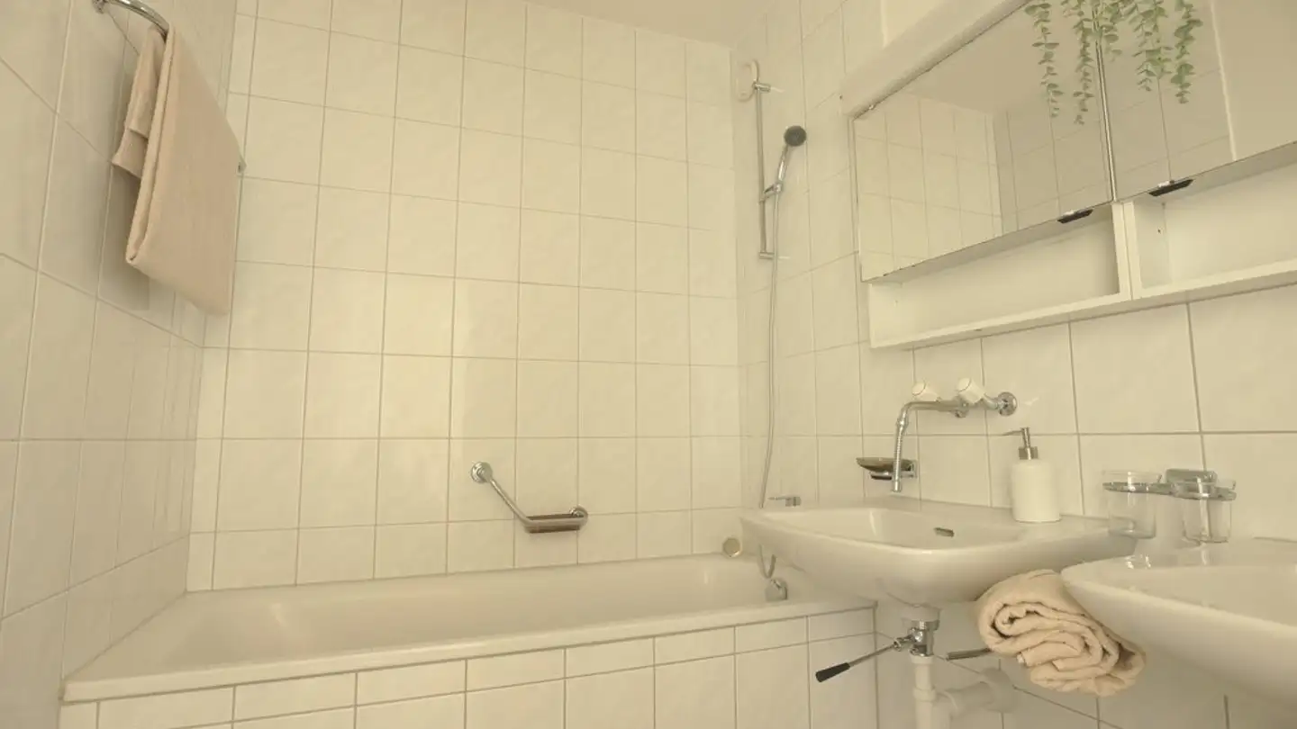 Appartamento in affitto - Steinackerstrasse 44, 4147 Aesch BL - Foto 4