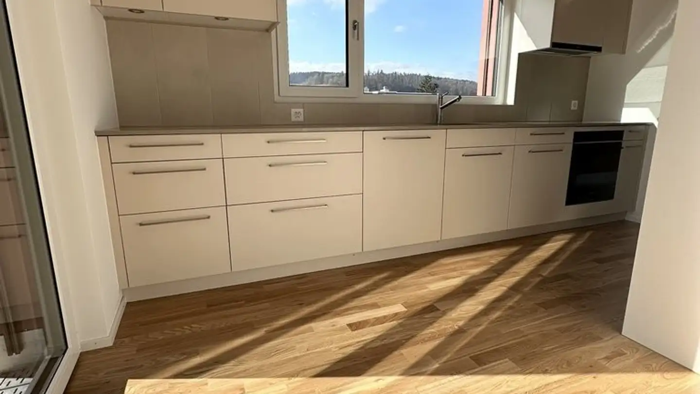 Penthouse for rent - Albisriederstrasse 276, 8047 Zürich - Photo 3