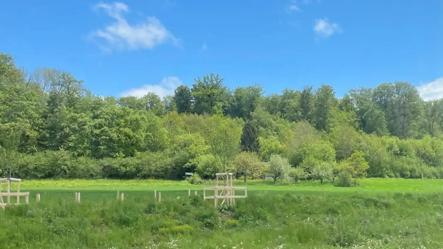 Casa singola in vendita - 1000 Lausanne 25 - Foto 3