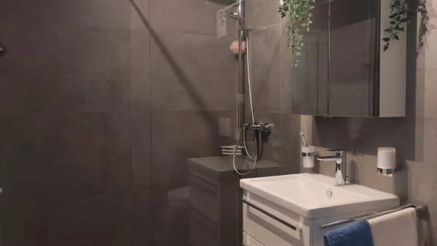 Wohnung mieten - Friedhofstrasse 14, 8494 Bauma