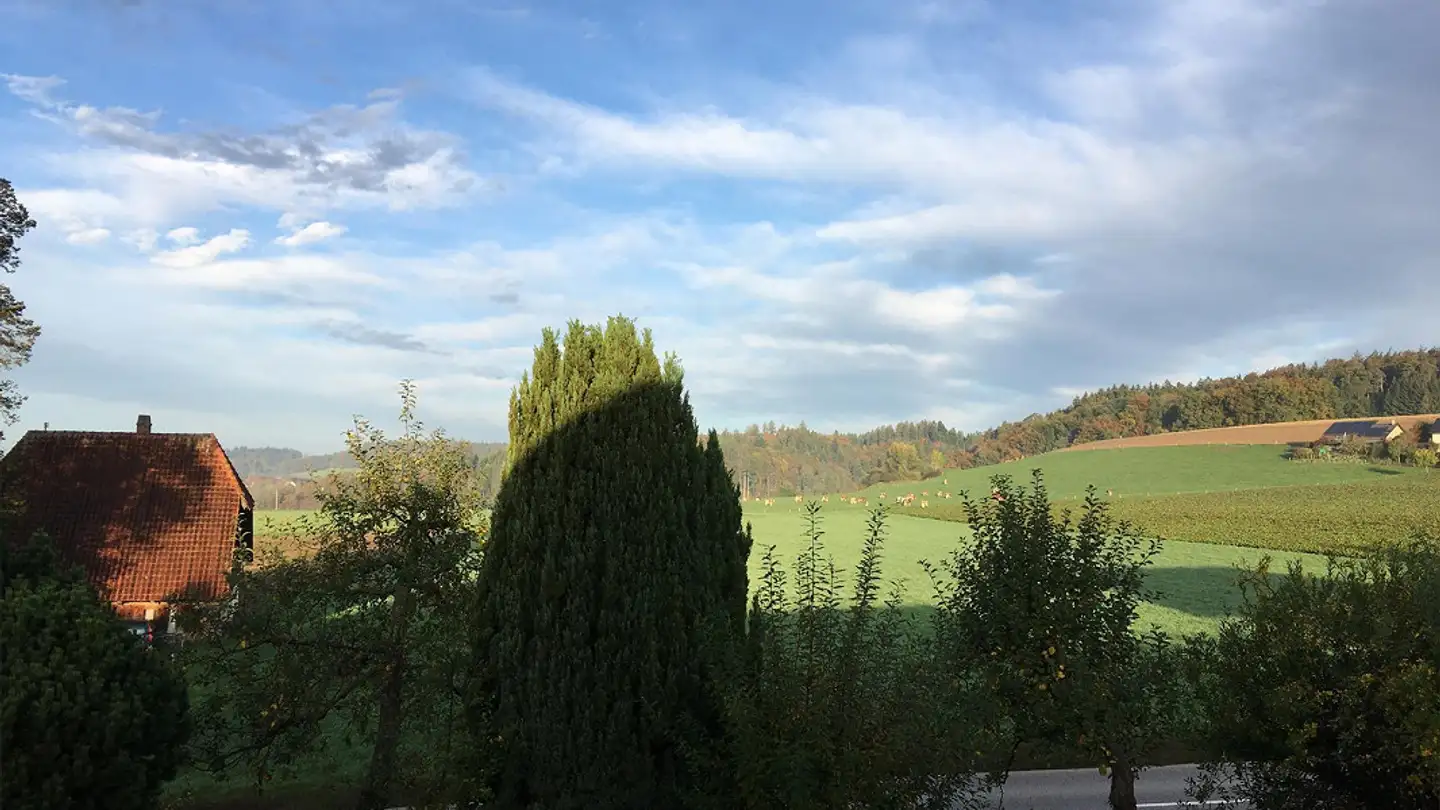 Appartement à louer - Gassackerstrasse 1d, 3033 Wohlen b. Bern