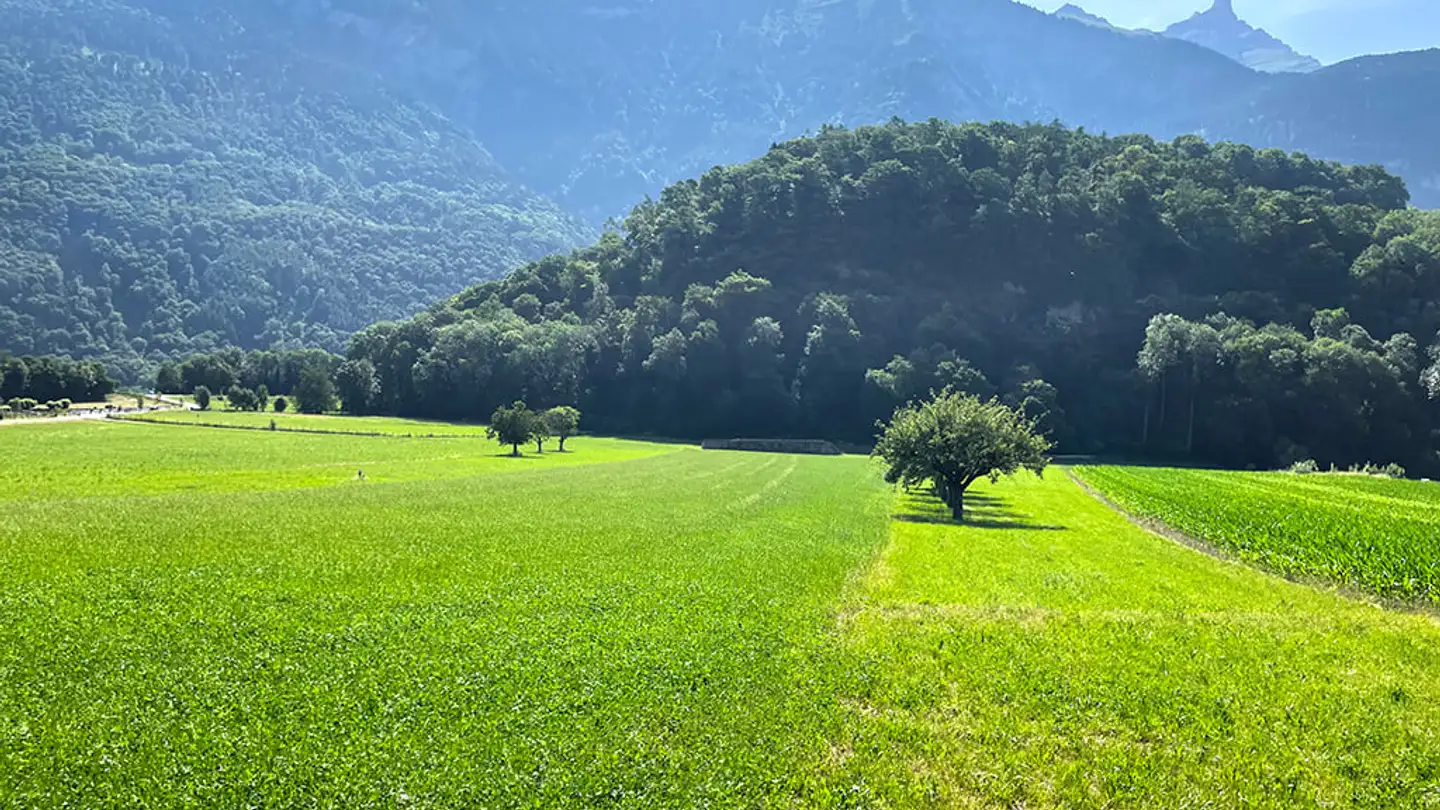 Appartement à vendre - 1880 Bex