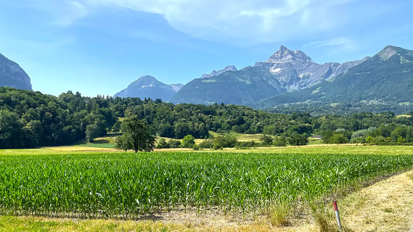 Appartamento in vendita - 1880 Bex - Photo 2