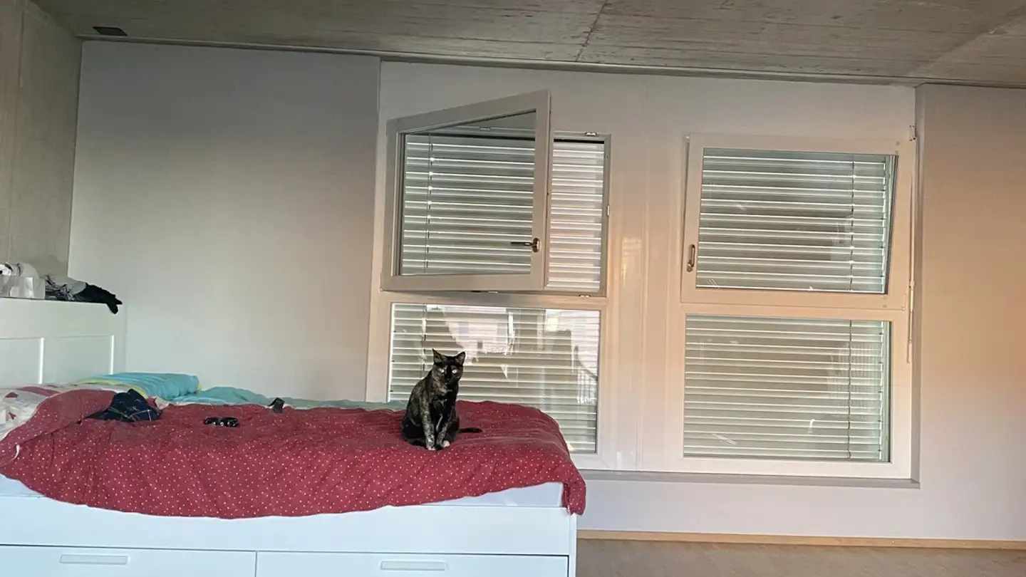 Wohnung mieten - 8105 Regensdorf