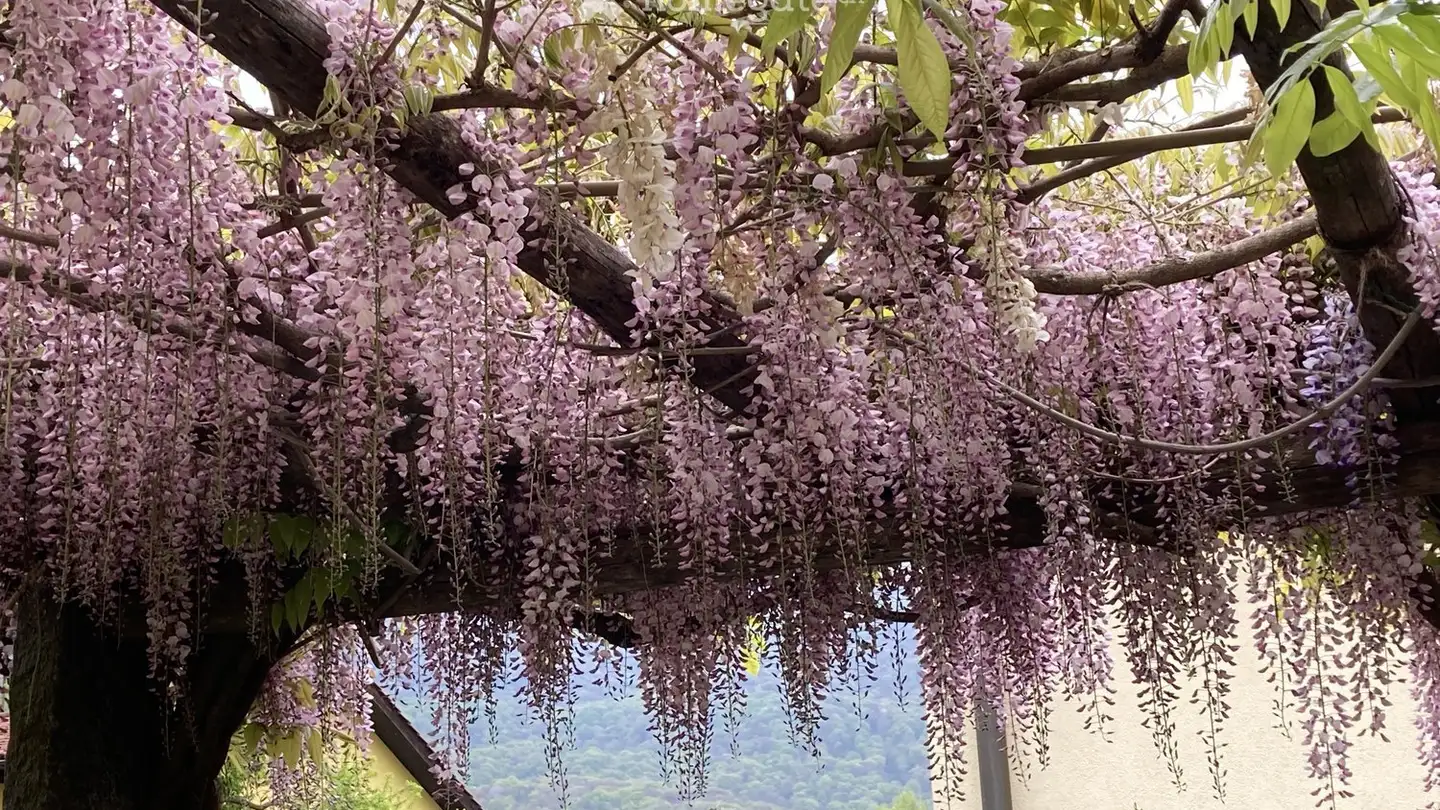 Casa singola in vendita - 6967 Dino - Photo 3