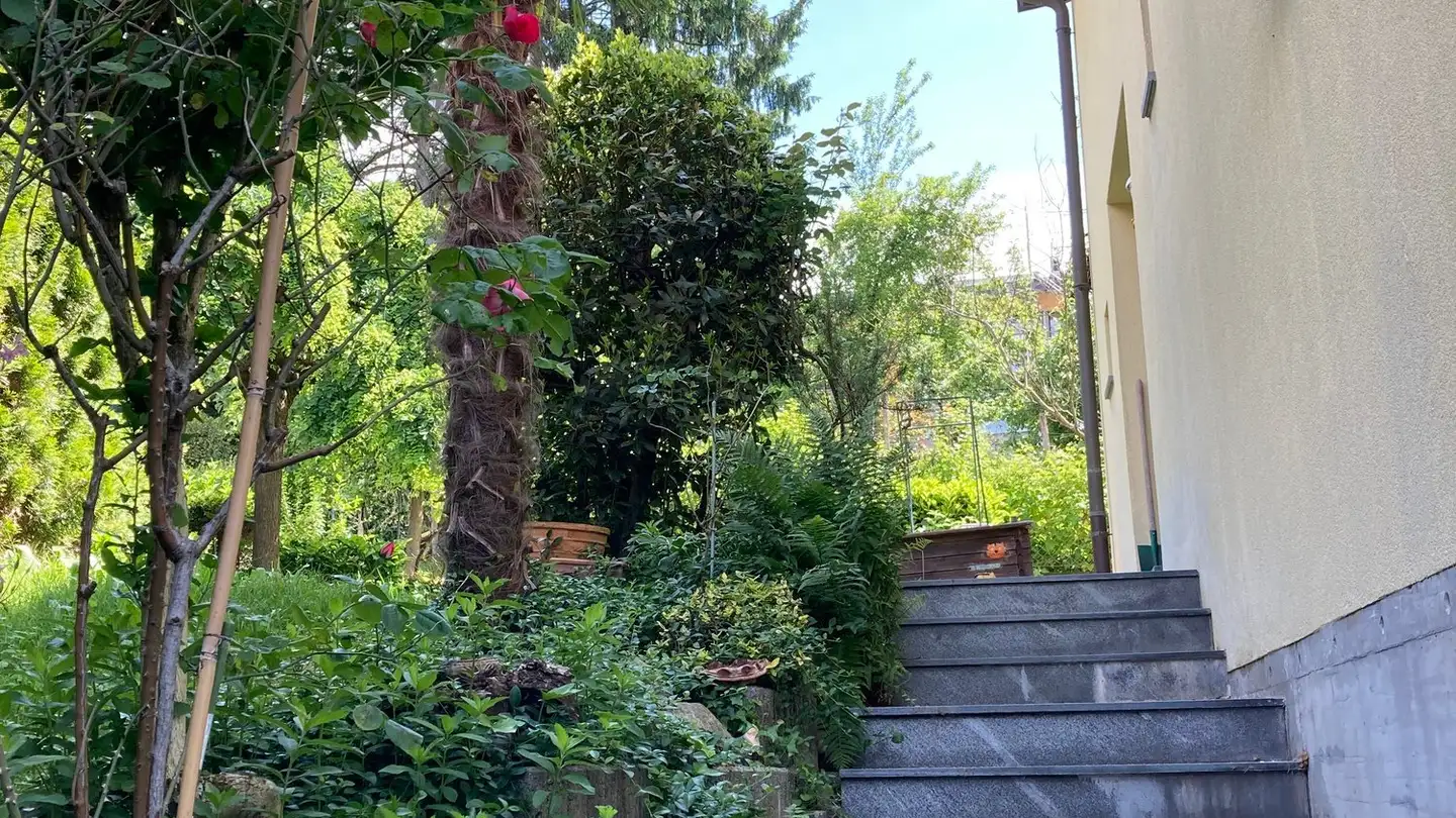 Casa singola in vendita - 6967 Dino - Photo 4