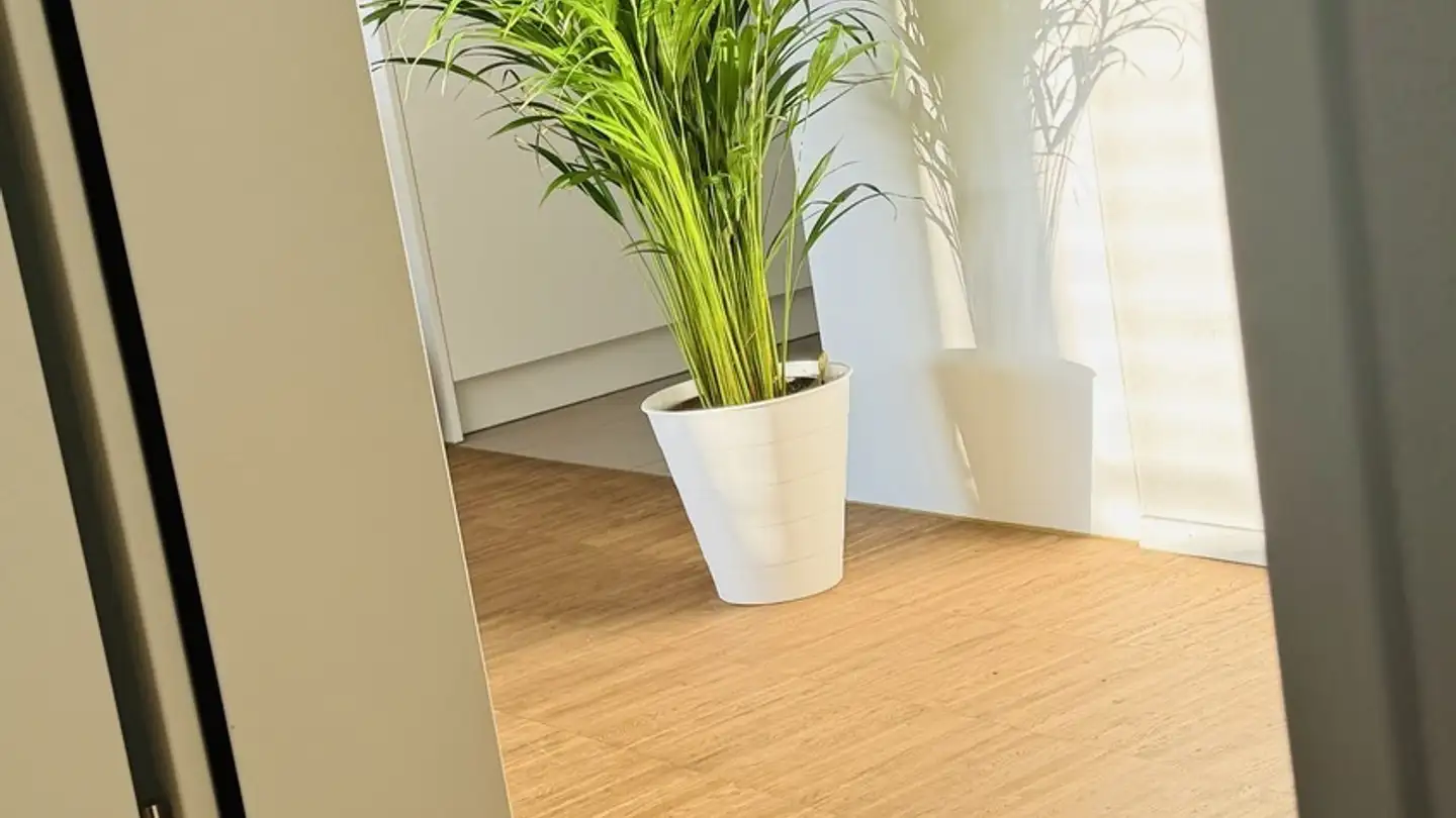 Appartamento in affitto - 6020 Emmenbrücke - Photo 2