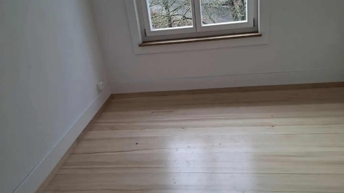 Stanza singola in affitto - 3008 Bern