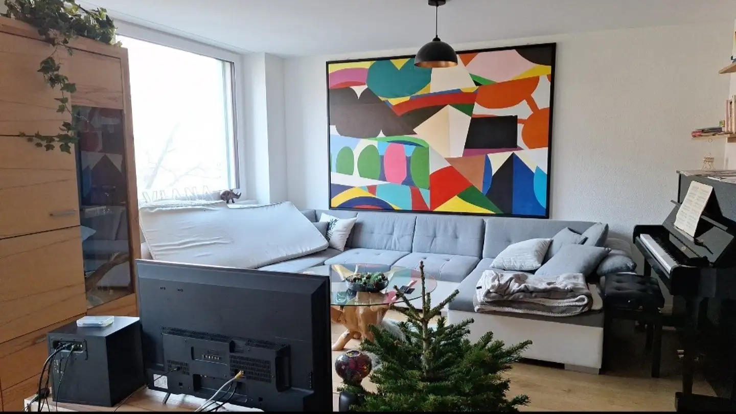 Single room for rent - Albisriederstrasse 17, 8003 Zürich - Photo 3