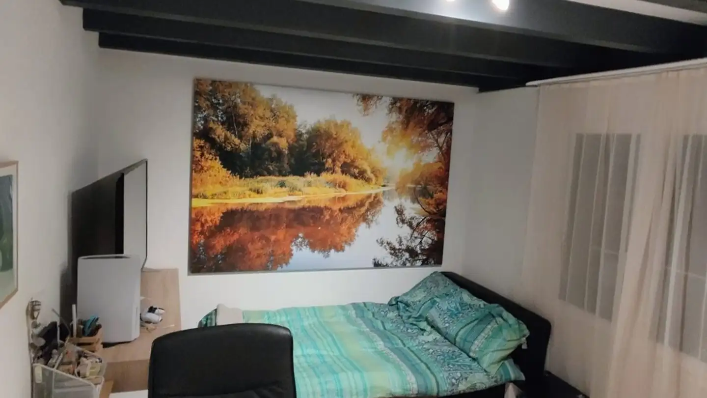 Appartamento in affitto - Sägeweg 6, 8166 Niederweningen - Foto 3