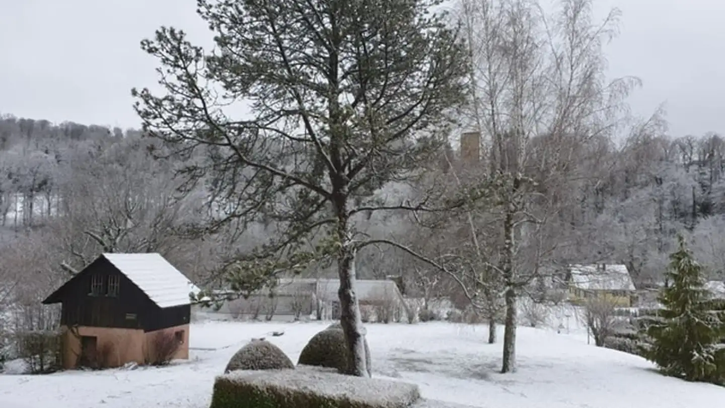 Commerciale in vendita - 2926 Boncourt - Photo 2