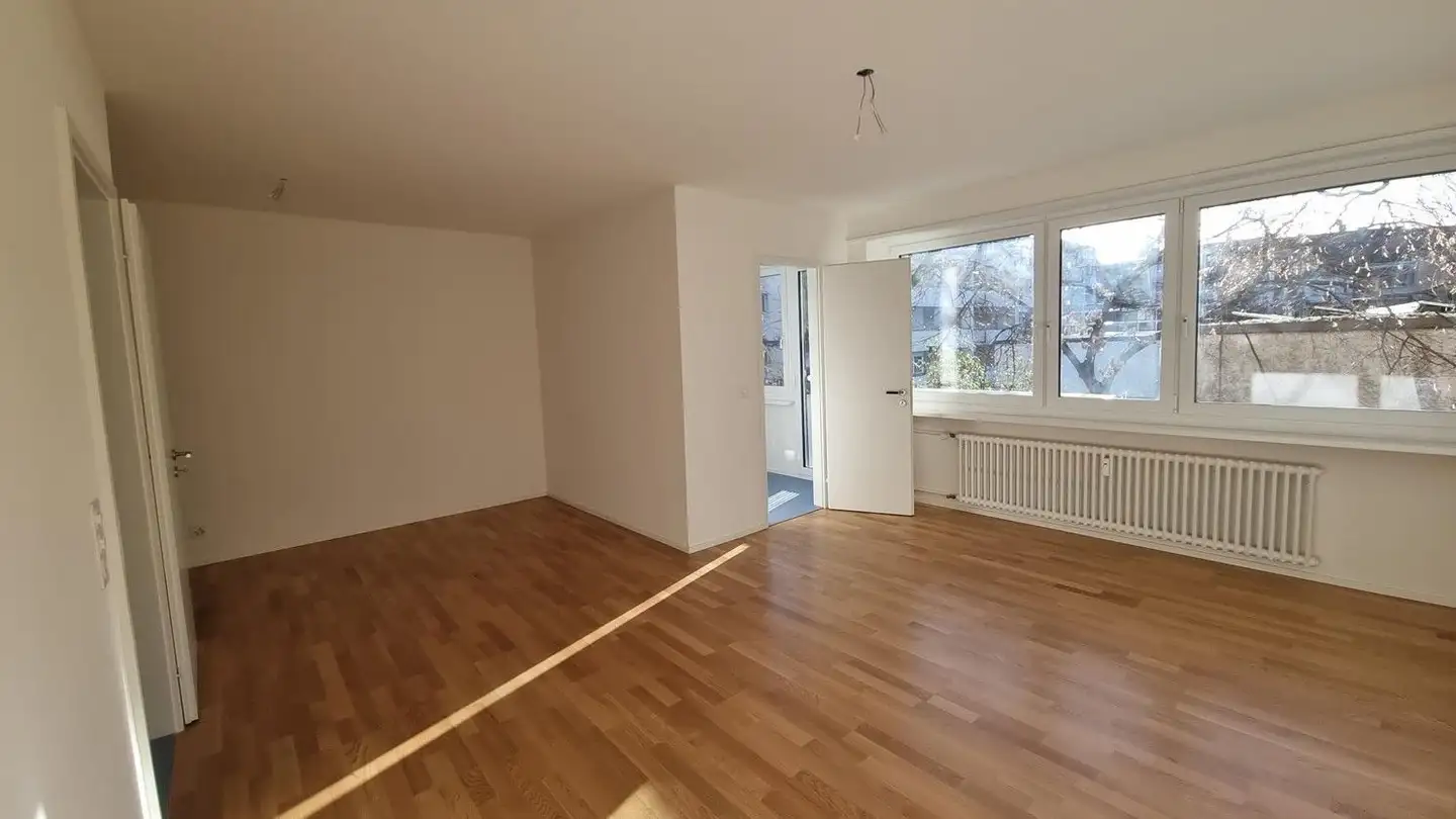 Appartamento in affitto - 4056 Basel