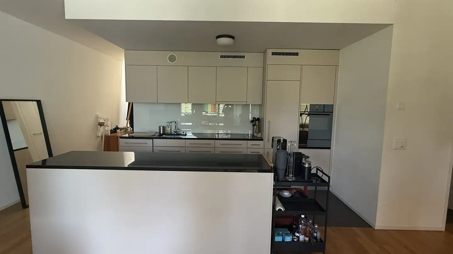 Chambre à louer - Storchenstrasse 1, 8952 Schlieren - Photo 3