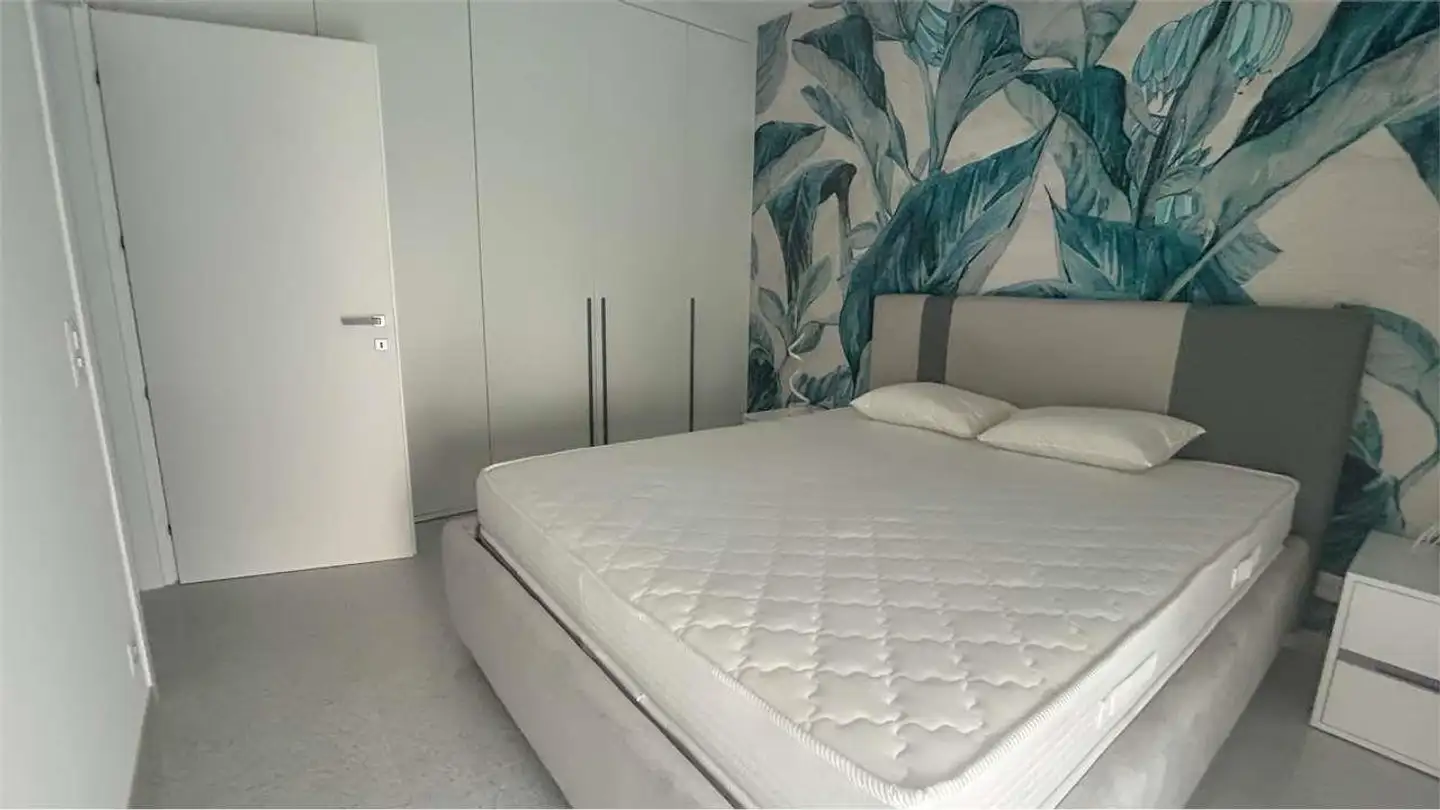 Appartamento in affitto - Via Ceresio, 6900 Massagno - Photo 2