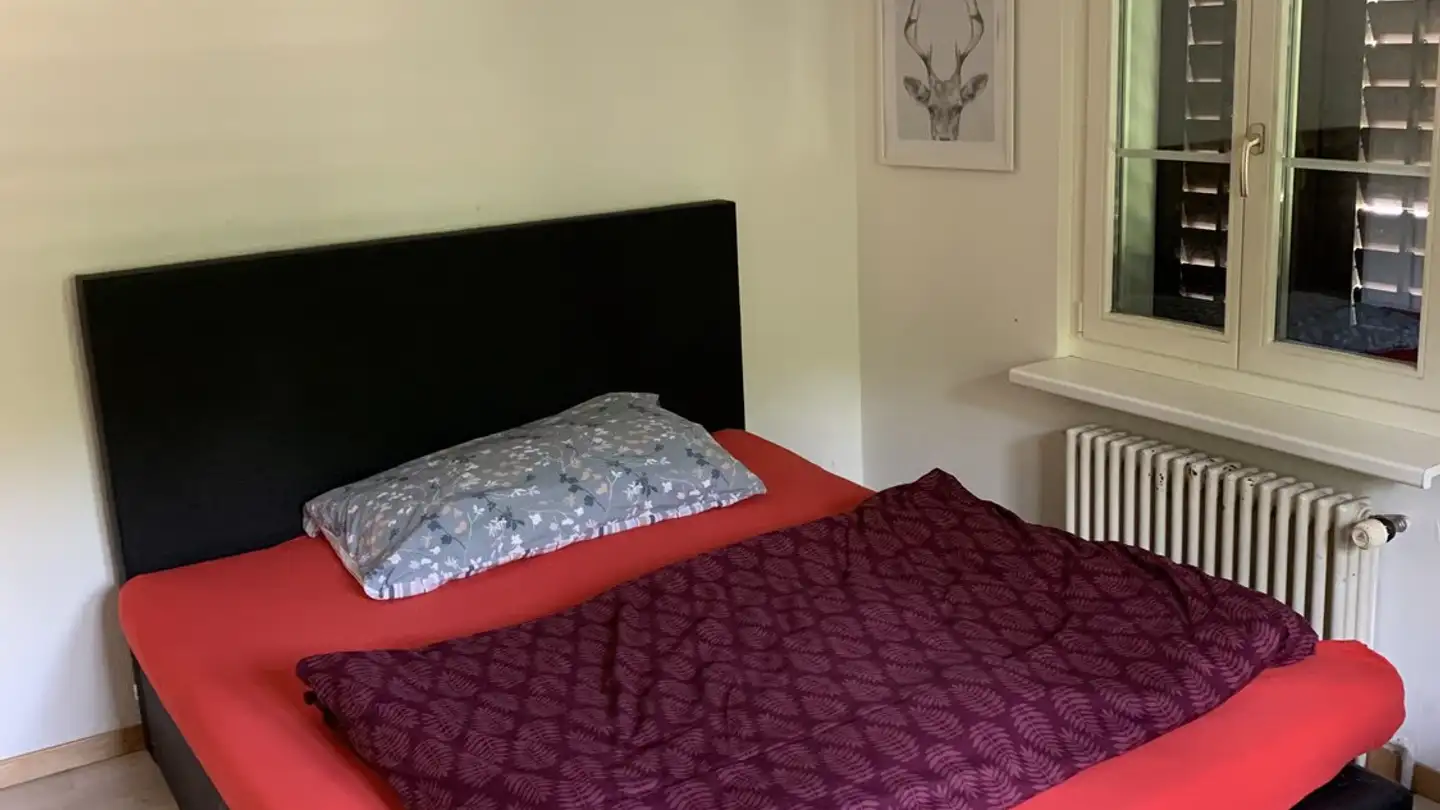 Furnished apartment for rent - Pfäffikerstrasse 27, 8310 Kemptthal