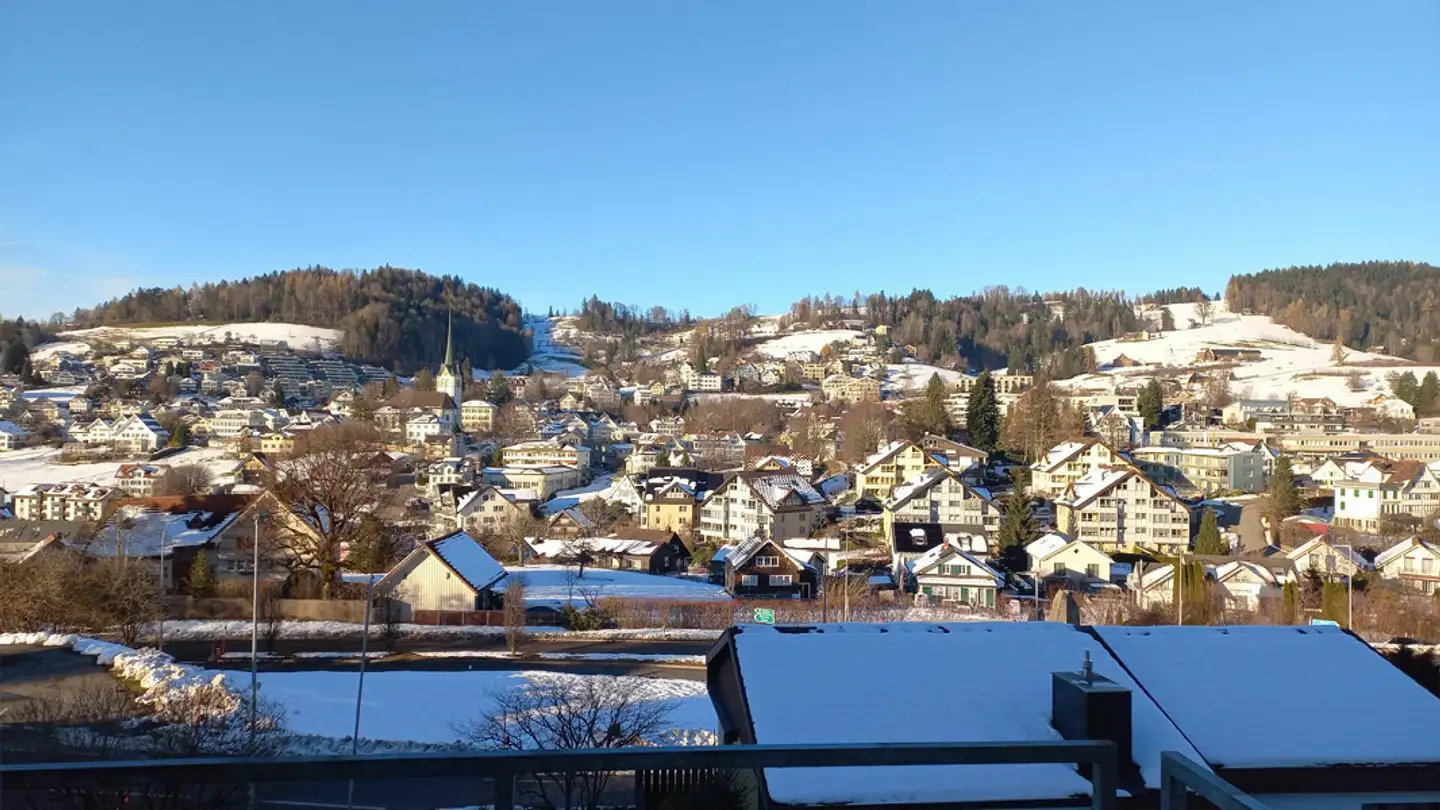 Appartamento in affitto - Alte Haslenstrasse 6, 9053 Teufen AR