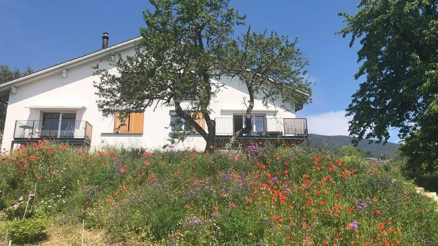 Appartamento in affitto - Chemin Des Abyssins 9, 2025 Chez-le-Bart - Photo 3