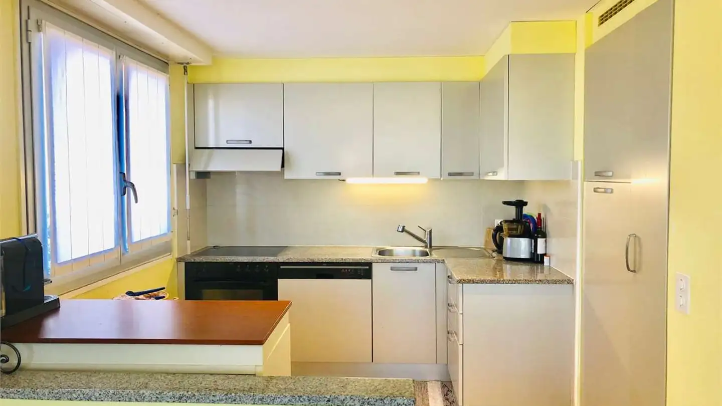 Möblierte Wohnung kaufen - Via Antonietti 7, 6900 Paradiso - Foto 4