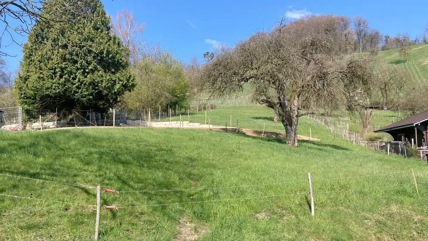 Terreno edificabile in vendita - Sandhübelstrasse, 5505 Brunegg - Foto 2