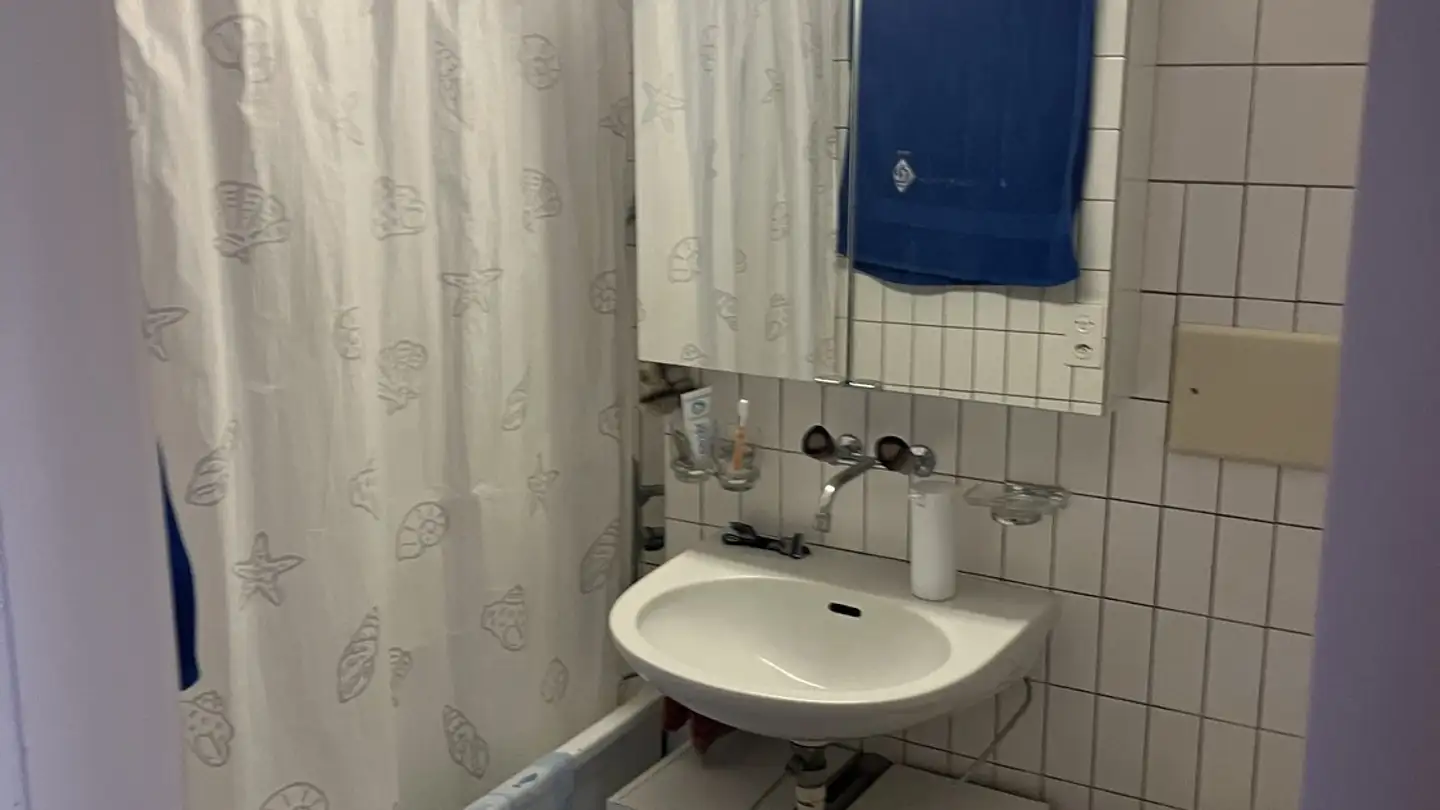 Appartement à louer - Murifeldweg 22, 3006 Bern - Photo 4