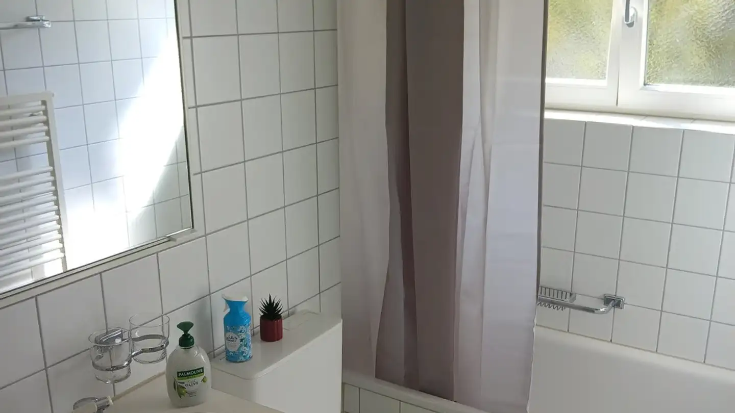 Möblierte Wohnung mieten - 8053 Zürich - Foto 4