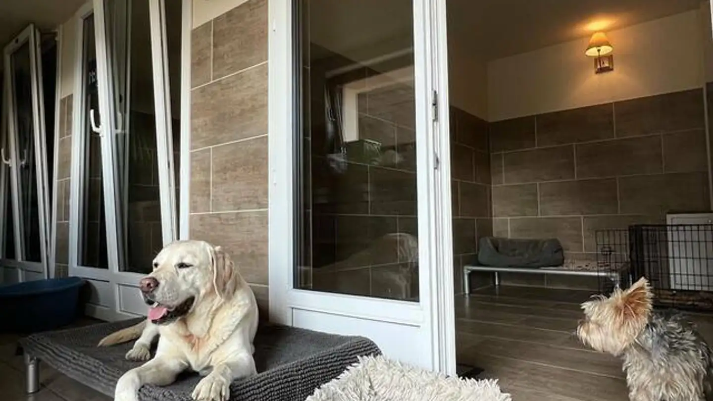 Geschäft kaufen - Les Afforêts, 1860 Aigle