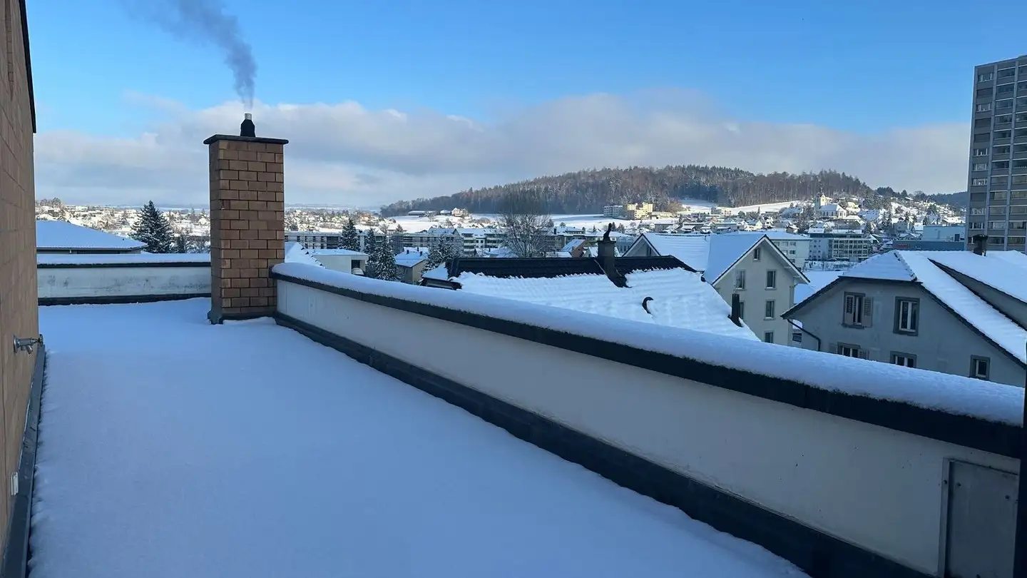 Duplex in affitto - Aarauer Strasse 19, 5734 Reinach AG - Foto 2