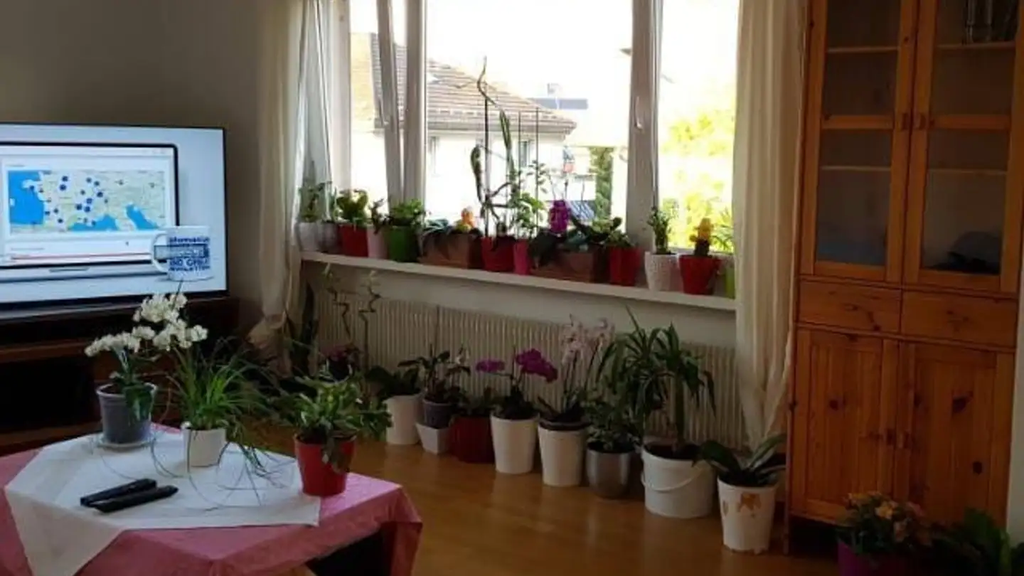 Apartment for rent - Langgrütstrasse, 8047 Zürich