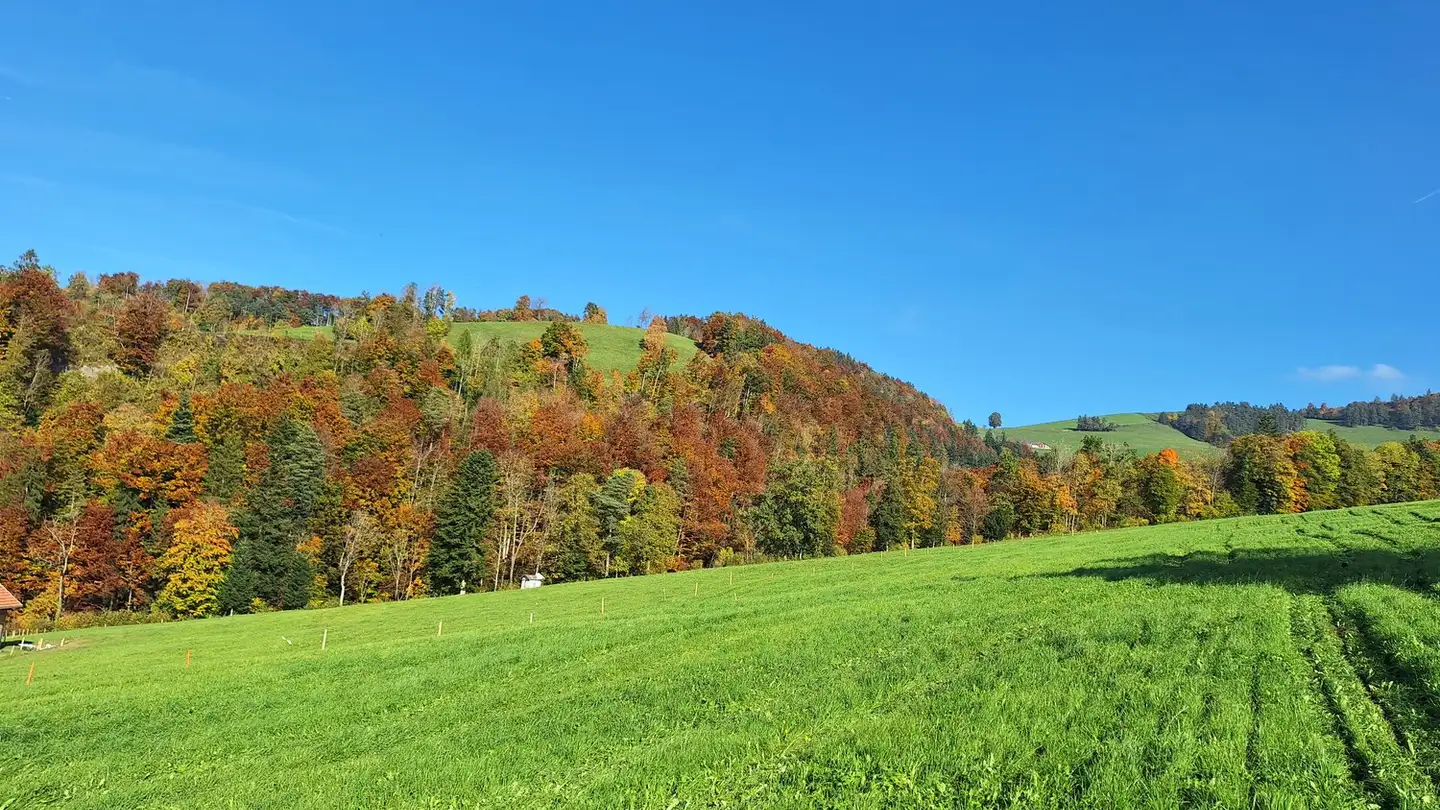 Einfamilienhaus kaufen - 9620 Lichtensteig